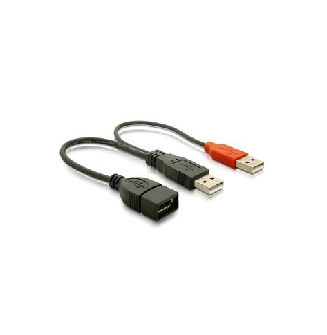 DELOCK 65306 Delock Przedłużacz USB 2xAM -> AF 2.0, czarny