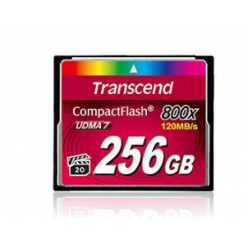 Karta pamięci Transcend 256GB Compact Flash 800x