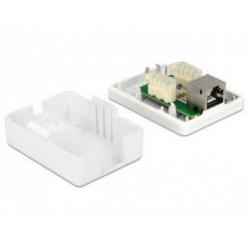Kabel DELOCK 86169 gniazdo natynkowe podwójne 1x RJ45 kat. 6 LSA
