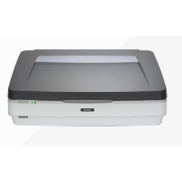 Skaner EPSON B11B240401BT Expression 12000XL PRO