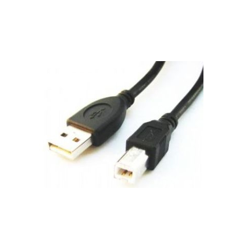 GEMBIRD CCP-USB2-AMBM-10 Gembird AM-BM kabel USB 2.0 3M czarny Niklowane końce