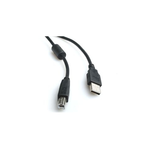 GEMBIRD CCF-USB2-AMBM-10 Gembird AM-BM kabel USB 2.0 3M High Quality, FERRYT