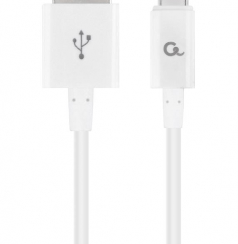 GEMBIRD CC-USB2P-AMCM-1M-W Gembird kabel USB-C 2.0 (AM/CM), ładowanie, transmisja, 1m, biały