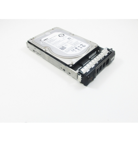 Dysk Serwerowy Dell 2TB NL-SAS 12Gb/s 7.2k 512n Hot Plug 3.5'' 13 Gen