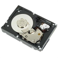 Dysk serwerowy DELL 300GB SAS 6Gb/s 15RPM 2,5 w 3,5 hot plug 12 gen
