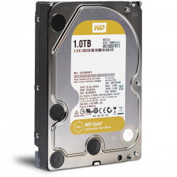 Dysk Serwerowy WD Gold, 3.5'', 1TB, SATA/600, 7200RPM, 64MB cache