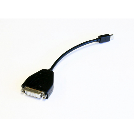 Adapter Lenovo DisplayPort to SL DVI 