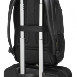 Plecak TARGUS CityGear 14 Laptop Backpack czarny