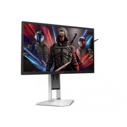 Monitor AOC AG251FZ2E 25 240Hz HDMI DisplayPort VGA DVI USB 