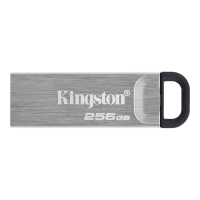 Pamięć USB Kingston 256GB USB3.2 DataTraveler Gen1 Kyson