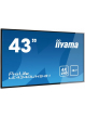 Monitor Iiyama ProLite LE4340UHS-B1 43 4K panel VA DVI HDMI głośniki