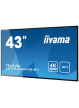 Monitor Iiyama ProLite LE4340UHS-B1 43 4K panel VA DVI HDMI głośniki