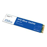 Dysk WD Blue SA510 SSD 250GB M.2 2280 SATA III 6Gb/s internal single-packed
