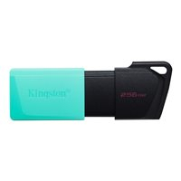 Pamięć USB Kingston 256GB DataTraveler Exodia