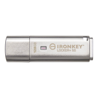 Pamięć USB Kingston 128GB IKLP50 AES USB