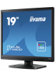 Monitor IIyama E1980D-B1 19inch TN 1280x1024 250cd/m2 5ms VGA DVI