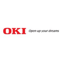 Papier OKI Banner papier 210x900mm 40 arkuszy