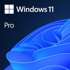 Microsoft Windows 11 Pro All Language ESD