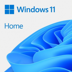 Microsoft Windows 11 Home All Language ESD