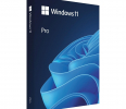 Microsoft Windows 11 Pro PL USB Box