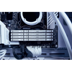 Pamięć KINGSTON FURY Beast 16GB DIMM DDR5 6000MT/s DDR5 CL36 White EXPO