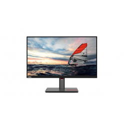 Monitor LENOVO ThinkVision P25i-30 24.5 IPS WLED FHD HDMI DP USB Hub