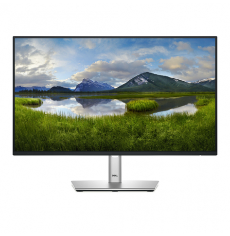 Monitor DELL P2425H 23.8 FHD 3Y