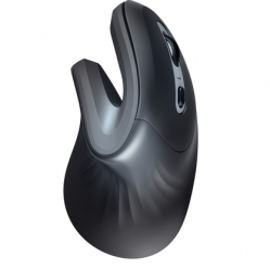 Mysz TRUST VERRO ERGO WL MOUSE