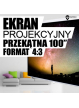 Ekran projekcyjny 4world na scian