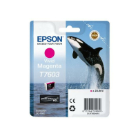 Drukarka EPSON T7603 ink cartridge vivid magenta high capacity 25 9ml 1356 pages 1-pack