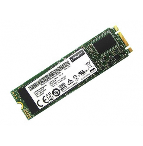 Dysk serwerowy LENOVO  ThinkSystem 7450 PRO 480GB Read Intensive NVMe PCIe 4.0 x4 NHS SSD with Heatsink