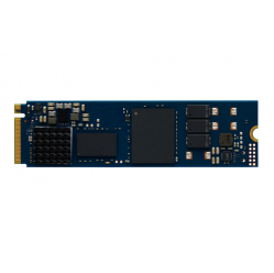 Dysk SSD KINGSTON 240GB DC2000B PCIe 4.0 M.2 2280 Enterprise SSD