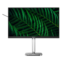 Monitor PHILIPS 27B2G5500 00 27 QHD LED 16:9 IPS HDMI DP 1.2