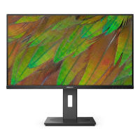 Monitor PHILIPS 32B1N3800 00 31.5 UHD LED 16:9 VA HDMI DP 1.4