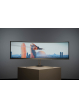 Monitor PHILIPS 49M2C8900/00 49 5K Gaming OLED 32:9 0.03ms HDMI DP USB