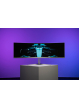 Monitor PHILIPS 49M2C8900/00 49 5K Gaming OLED 32:9 0.03ms HDMI DP USB