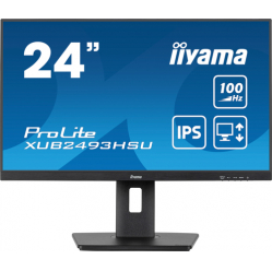 Monitor IIYAMA XUB2493HSU-B6 24 ETE IPS FHD  1ms FreeSync glosniki  Stand Pivot