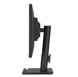 Monitor ASUS VA24DQFS 23.8 IPS WLED FHD 16:9 1ms HDMI DP D-Sub USB glosniki  czarny