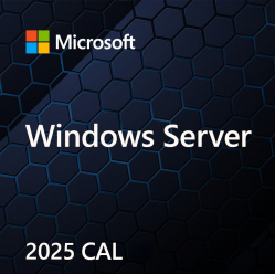 Windows Server CAL 2025 DSP 5-pack User CAL PL