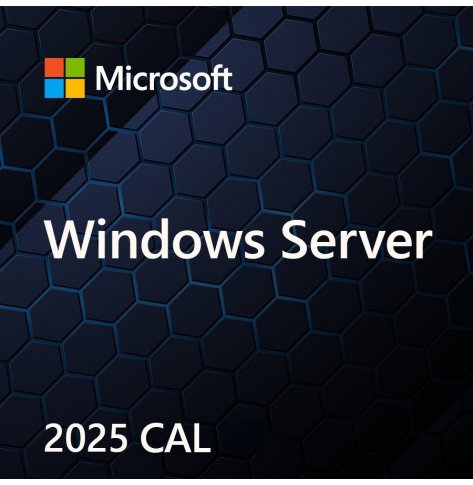 Windows Server CAL 2025 DSP 5-pack User CAL PL