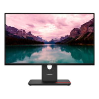 Monitor LENOVO ThinkVision T24-40 23.8 IPS FHD HDMI DP VGA USB
