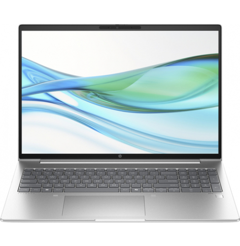 Laptop HP ProBook 460 G11 16 WUXGA AG IPS Ultra 5-125U 16GB 1TB SSD ALU BK Win11 2Y OnSite Pike Silver