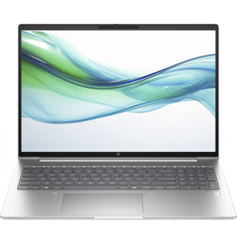 Laptop HP ProBook 465 G11 16 WUXGA AG IPS Ryzen 5 7535U 16GB 512GB AMD Win11 2Y OnSite Pike Silver TCO