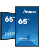 Monitor IIYAMA TF6539AS-B1AG 65 IPS 4K HDMI DP RJ45 USB