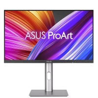 Monitor Asus PROART PA24ACRV 24 QHD IPS HDMI DP USB-C USB PIVOT