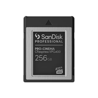 Karta pamięci SANDISK Professional PRO-CINEMA 256GB CFexpress VPG400 Type B Card upto 1700MB-s Odczyt 1400MB-s Zapis