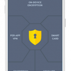 SAMSUNG KNOX Workspace 1-rok licencja