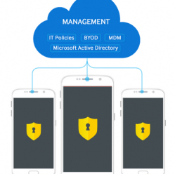 SAMSUNG KNOX Workspace 1-rok licencja