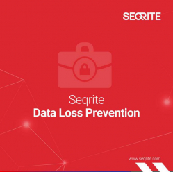 Seqrite DLP Regular (1–25 urządzeń) – licencja 1-roczna