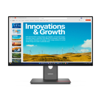 Monitor Lenovo ThinkVision P24QD-40 23 8 IPS QHD AG